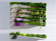 garden planter mirror