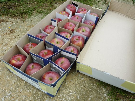 Krabice na jablká